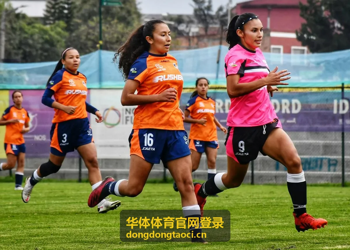华体体育官网登录票务报名现场核验和电子凭证服务说明